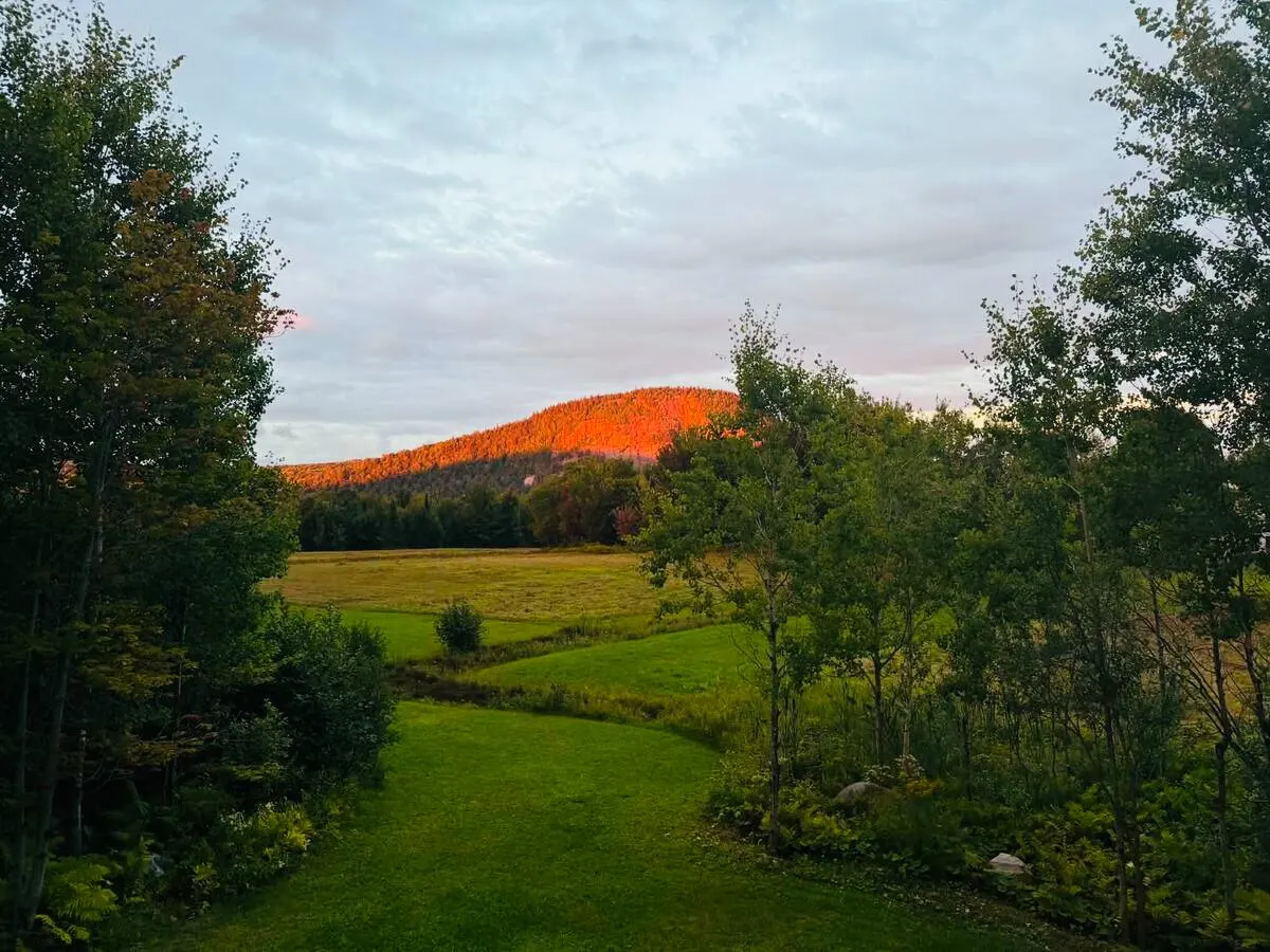 Mount Pinacle glowing orange at sunset above a green meadow